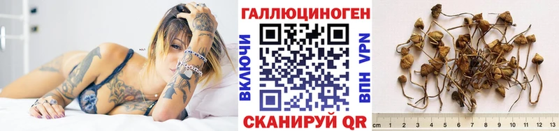 Псилоцибиновые грибы Psilocybine cubensis  Любим 